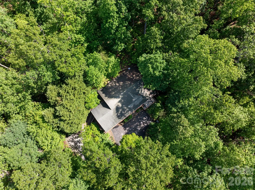 75 Cougar Lane Saluda, NC 28773