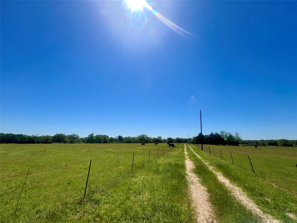 2542 County Road 306 Lexington, TX 78947