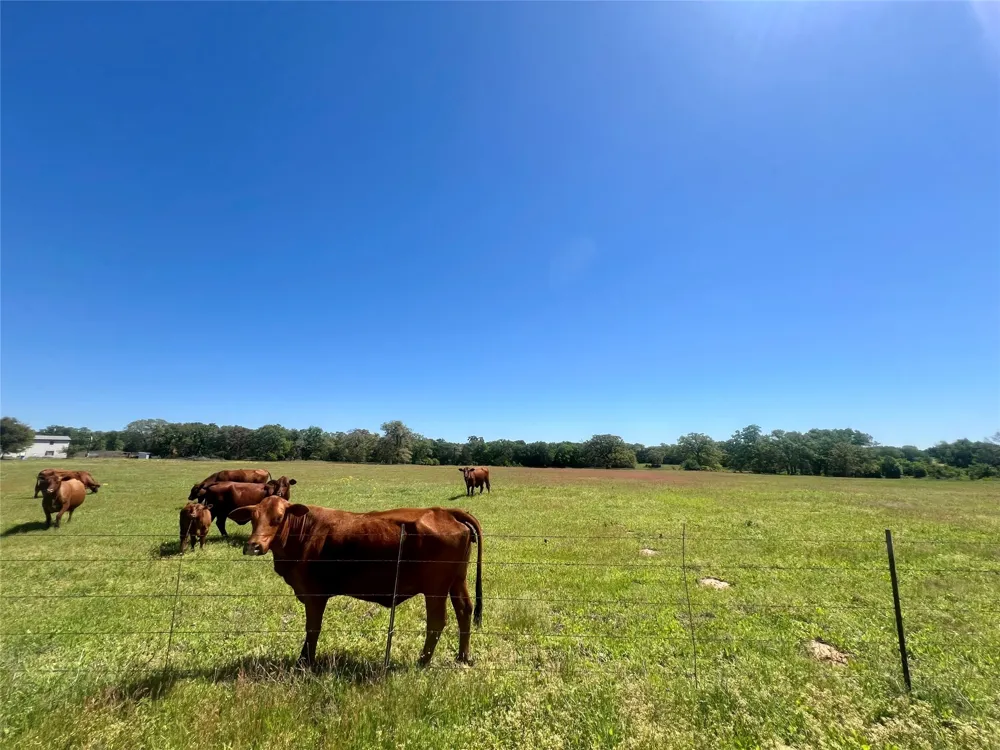 2542 County Road 306 Lexington, TX 78947