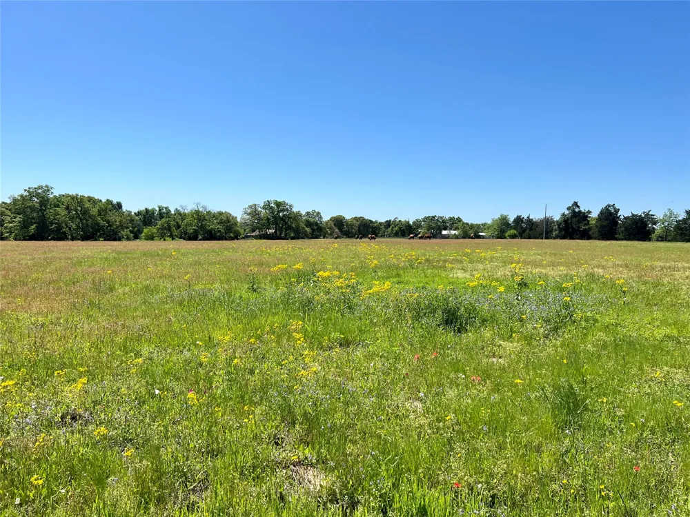 2542 County Road 306 Lexington, TX 78947