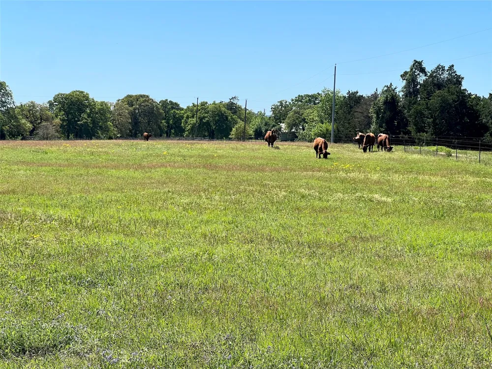 2542 County Road 306 Lexington, TX 78947