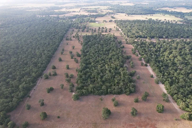 2542 County Road 306 Lexington, TX 78947