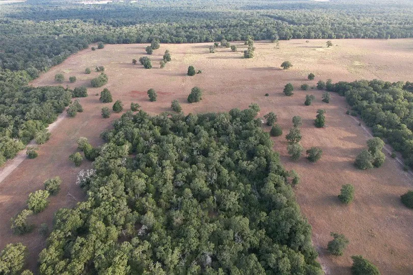 2542 County Road 306 Lexington, TX 78947