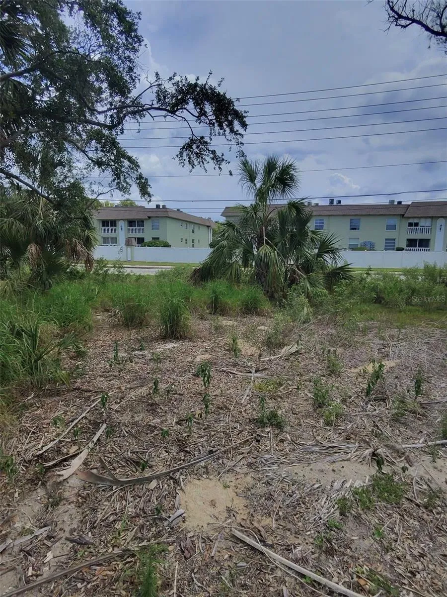 190 MERES BOULEVARD Tarpon Springs, FL 34689