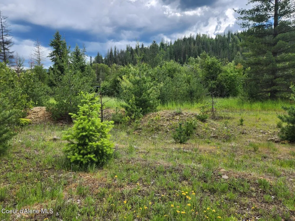 53917 Silver Valley Road Kellogg, ID 83837