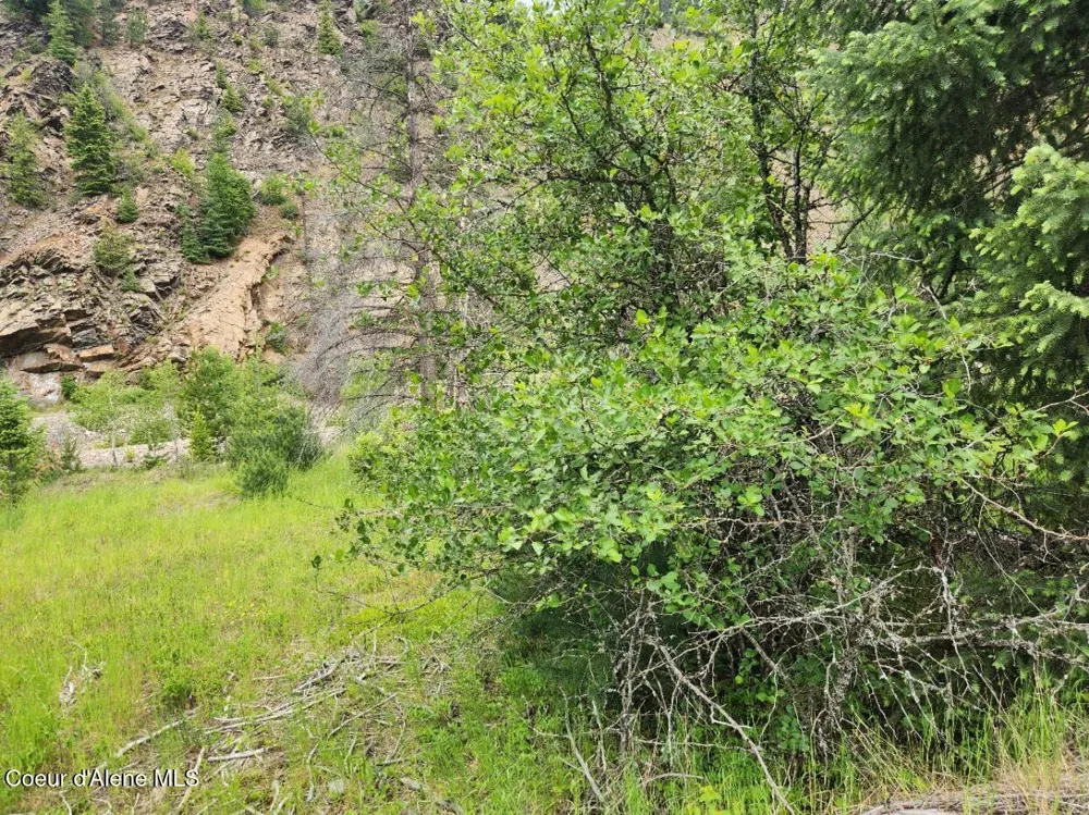 53917 Silver Valley Road Kellogg, ID 83837