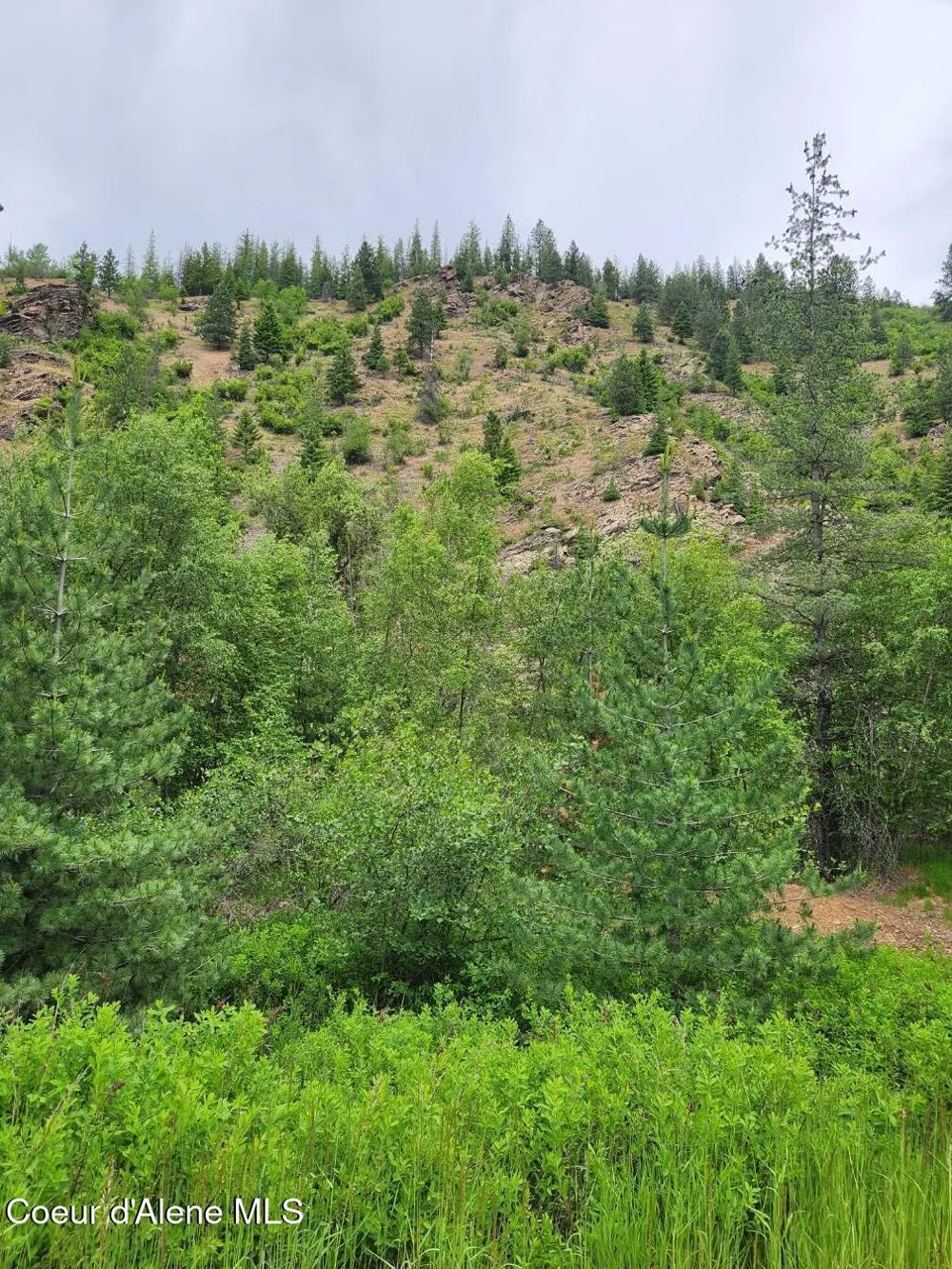 53917 Silver Valley Road Kellogg, ID 83837