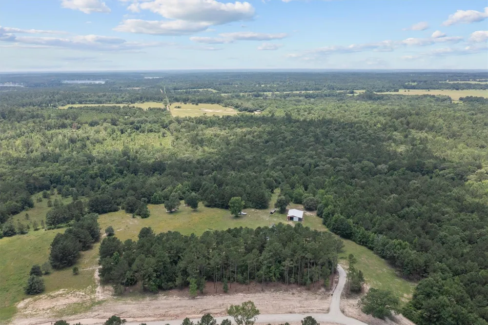 656 Vineyard View Trail Grapeland, TX 75844