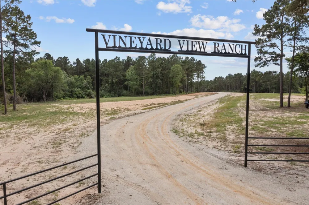 656 Vineyard View Trail Grapeland, TX 75844