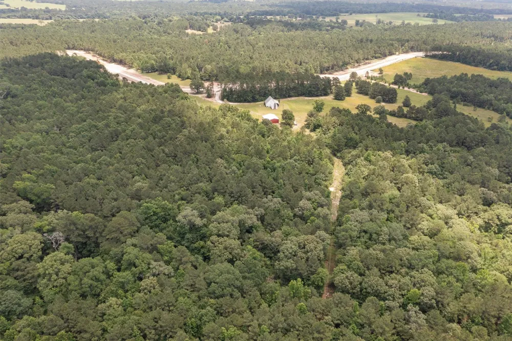 656 Vineyard View Trail Grapeland, TX 75844