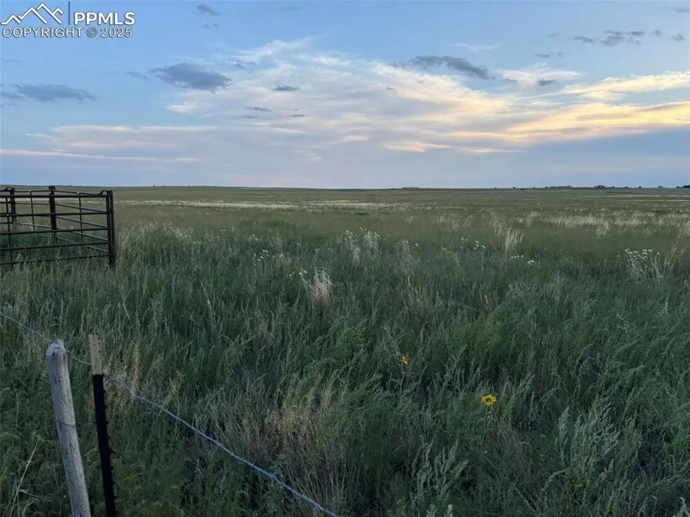 40655 Truckton Road Rush, CO 80833