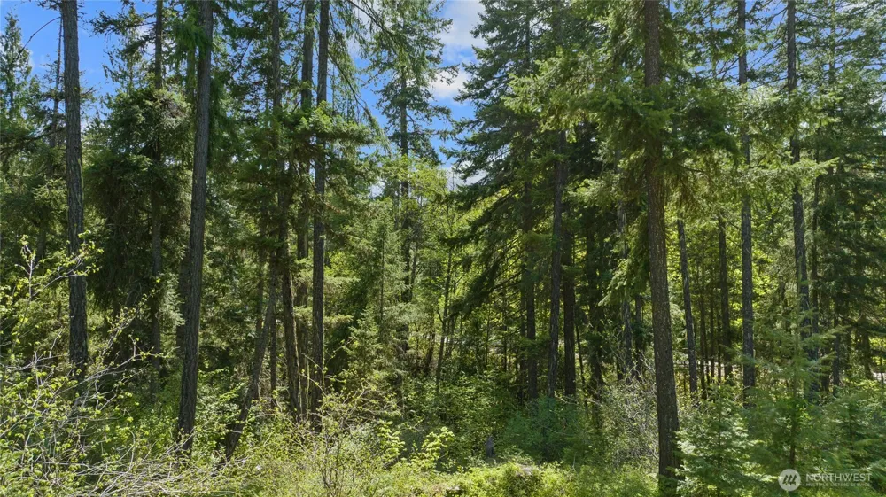 9 Salmon La Sac Highway Ronald, WA 98941