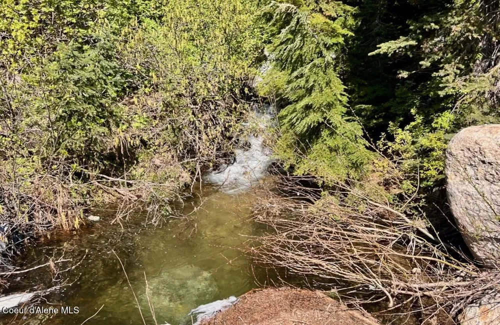 227 Crystal Springs Rd ## 3 Sandpoint, ID 83864