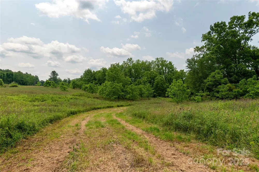 997 Tole Allison Road Mills River, NC 28759