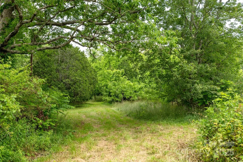 997 Tole Allison Road Mills River, NC 28759