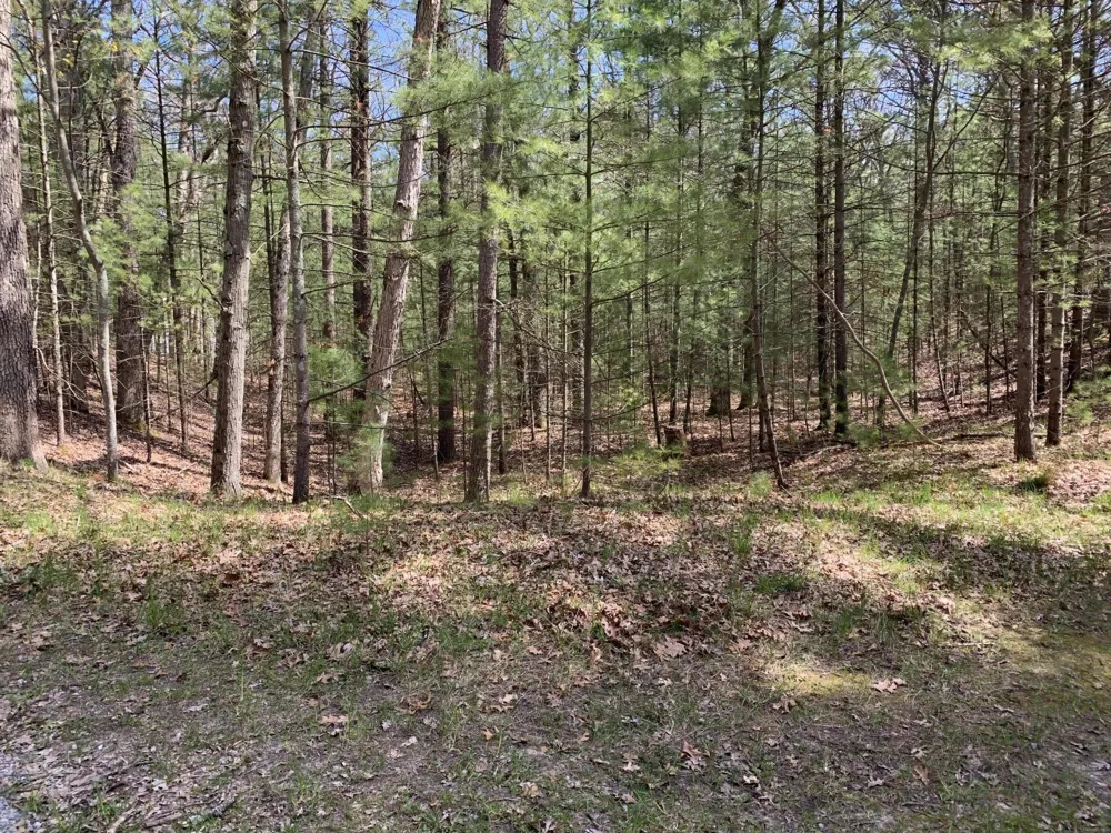 Lenox Avenue Pentwater, MI 49449