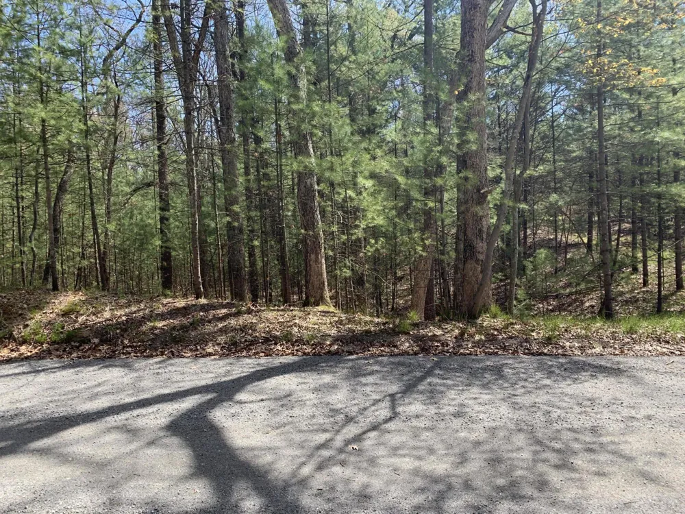 Lenox Avenue Pentwater, MI 49449