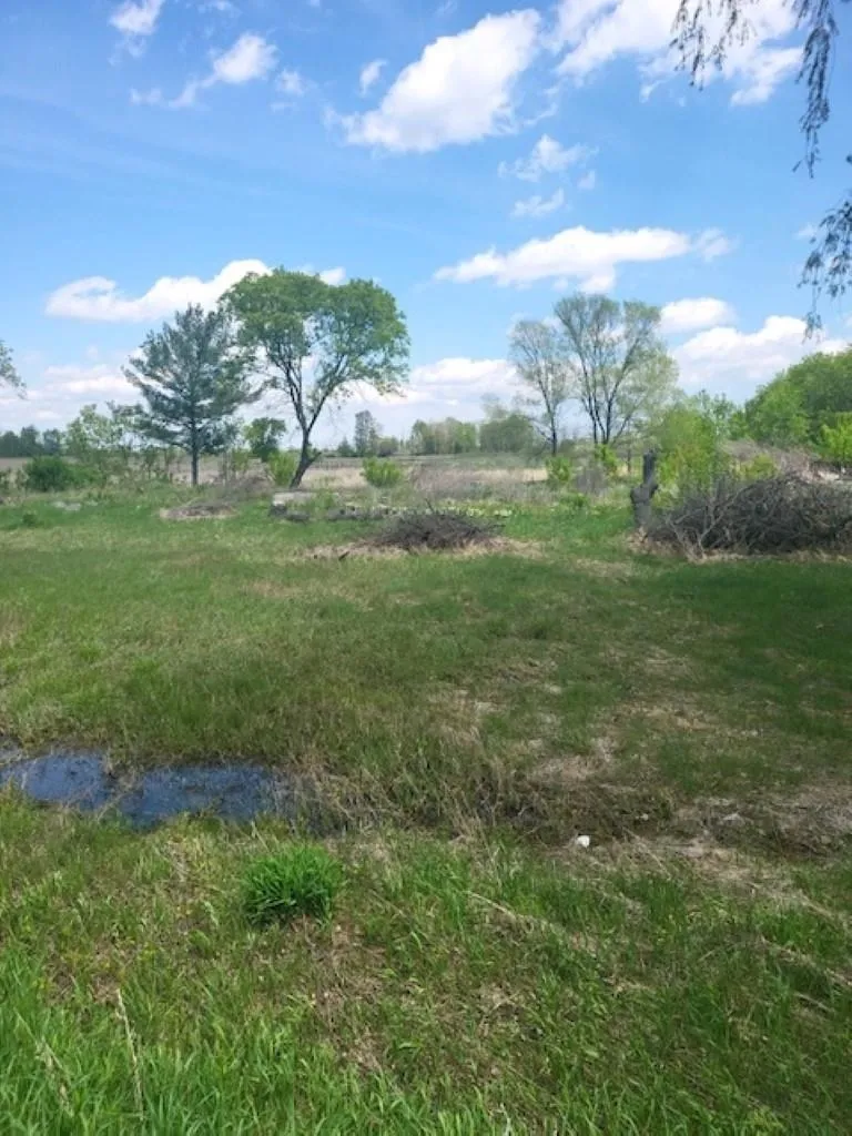 5229 Sage Lake Road Richland Township, MI 48756