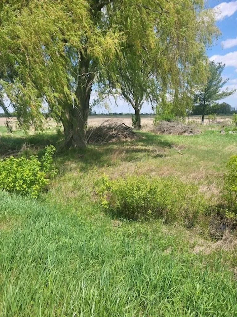 5229 Sage Lake Road Richland Township, MI 48756