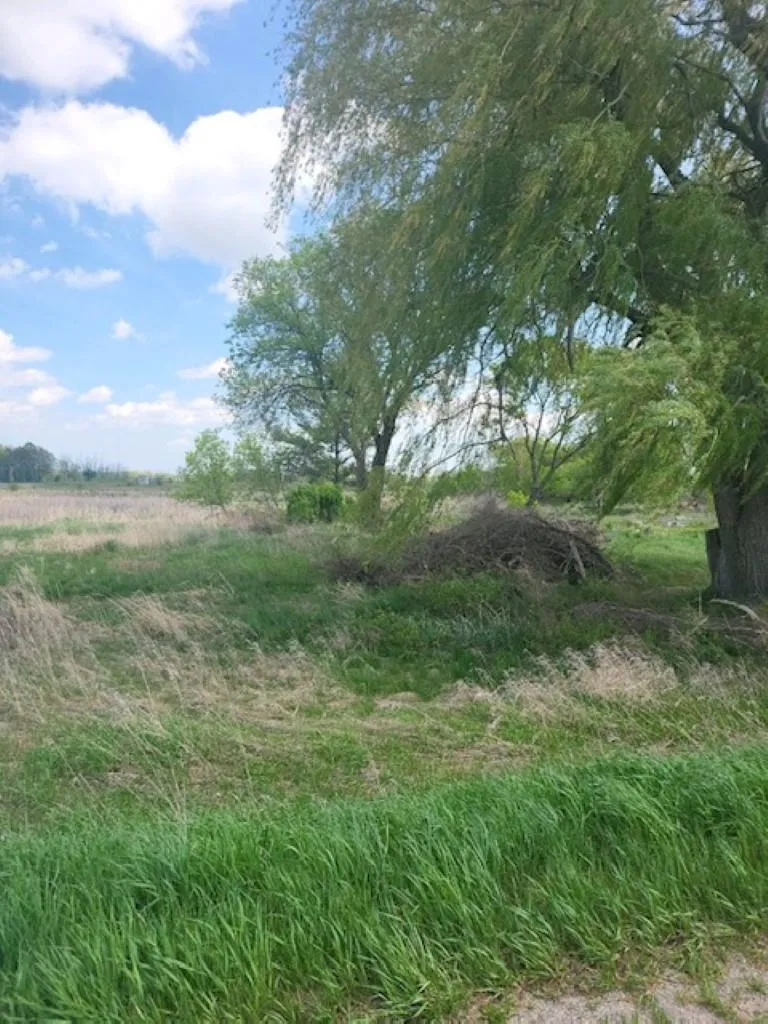5229 Sage Lake Road Richland Township, MI 48756