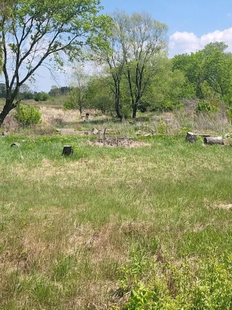 5229 Sage Lake Road Richland Township, MI 48756