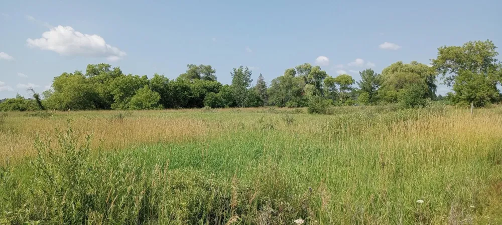 5229 Sage Lake Road Richland Township, MI 48756