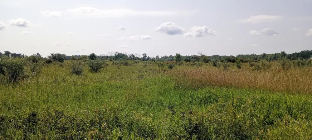 5229 Sage Lake Road Richland Township, MI 48756