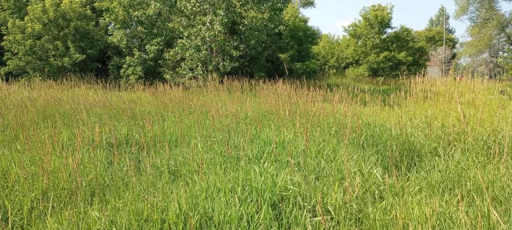 5229 Sage Lake Road Richland Township, MI 48756