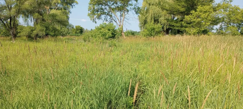 5229 Sage Lake Road Richland Township, MI 48756