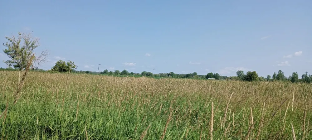 5229 Sage Lake Road Richland Township, MI 48756