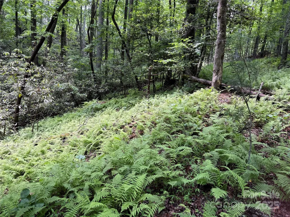TBD Caroline Lane #7R Pisgah Forest, NC 28768