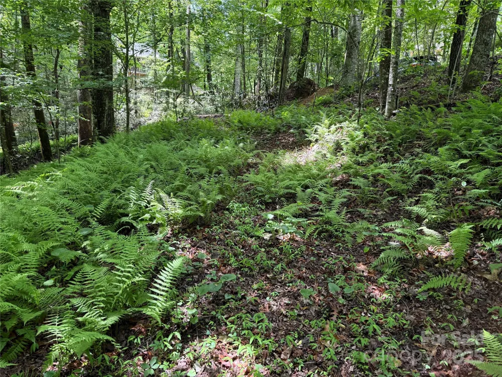 TBD Caroline Lane #7R Pisgah Forest, NC 28768