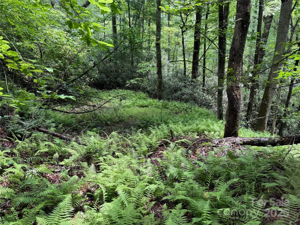 TBD Caroline Lane #7R Pisgah Forest, NC 28768