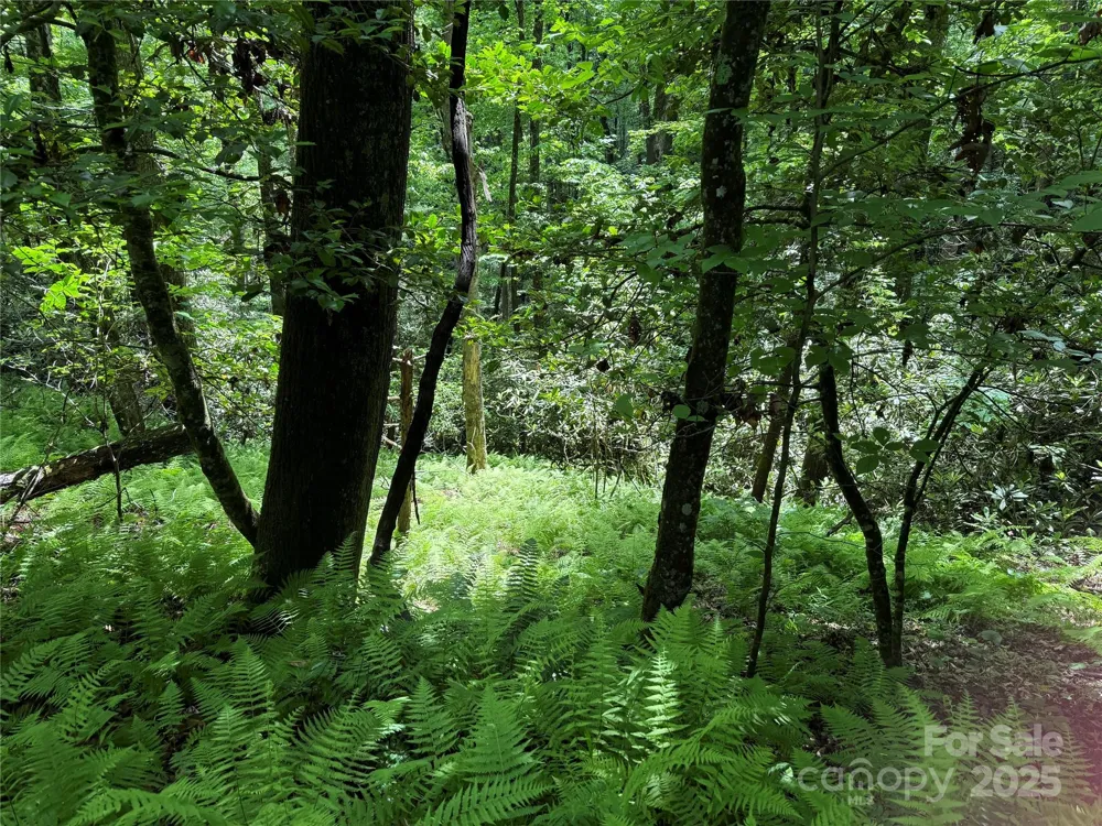 TBD Caroline Lane #7R Pisgah Forest, NC 28768