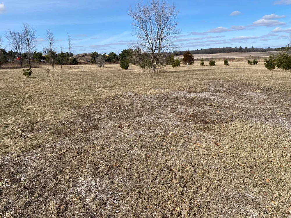 Lot 2 934th Street Mondovi, WI 54755