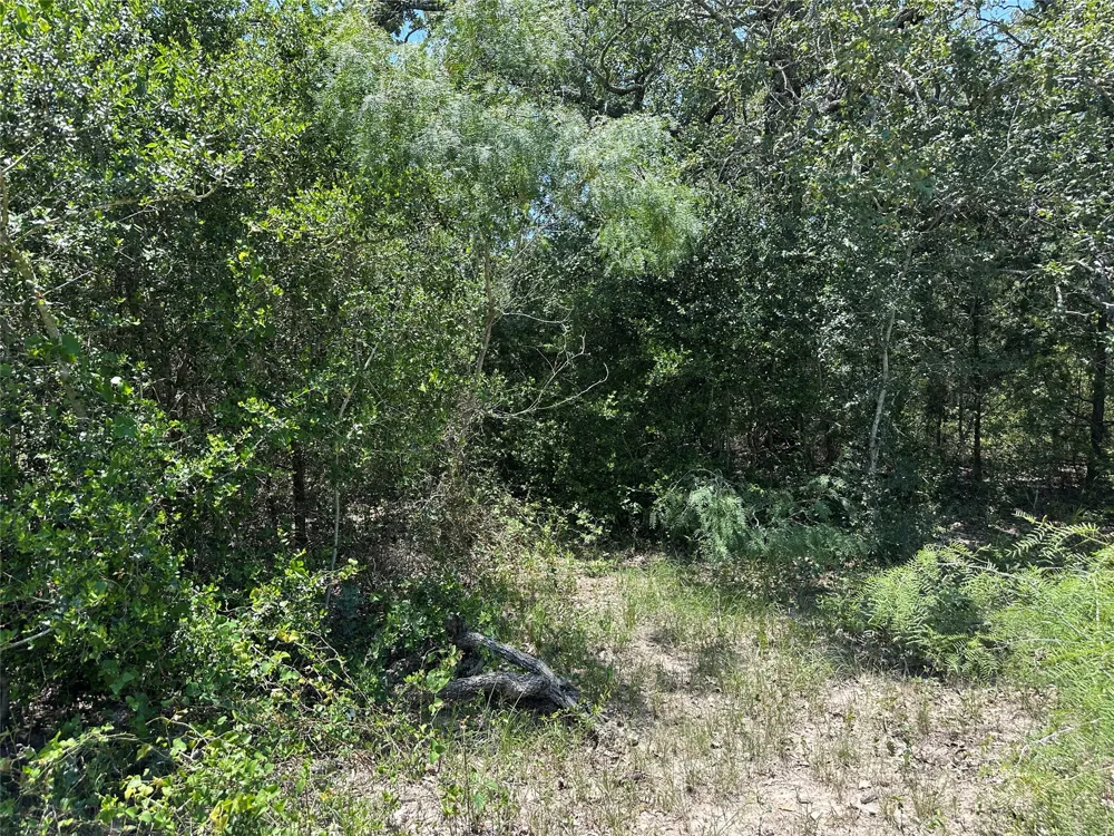 3 Hwy 95 Highway Smithville, TX 78957
