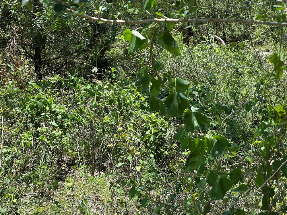 3 Hwy 95 Highway Smithville, TX 78957