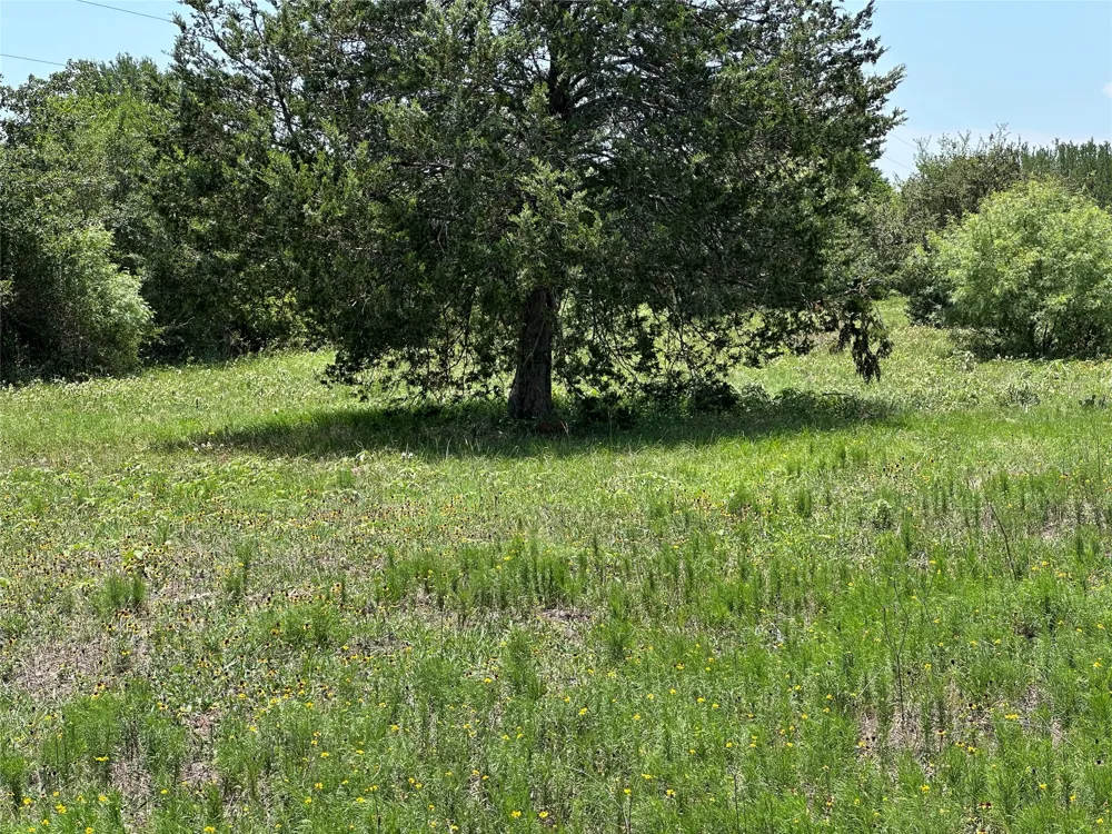 3 Hwy 95 Highway Smithville, TX 78957