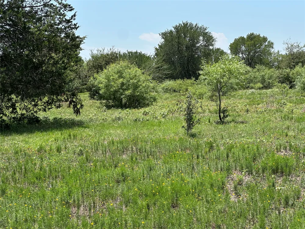 3 Hwy 95 Highway Smithville, TX 78957