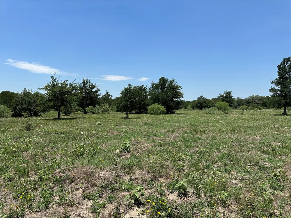 3 Hwy 95 Highway Smithville, TX 78957