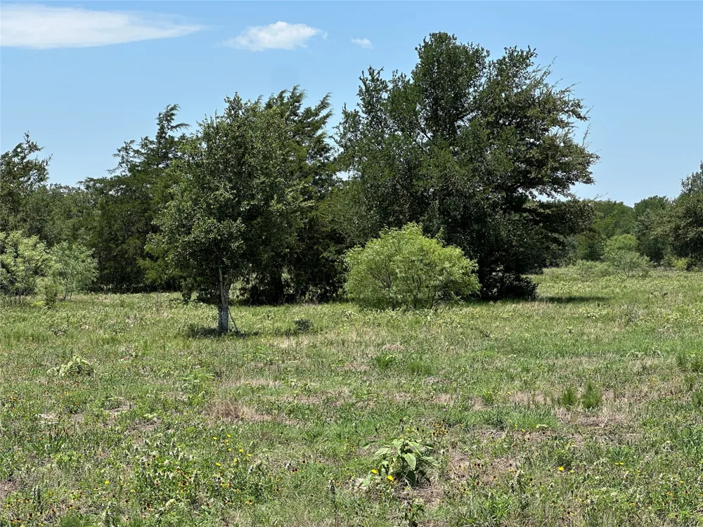 3 Hwy 95 Highway Smithville, TX 78957