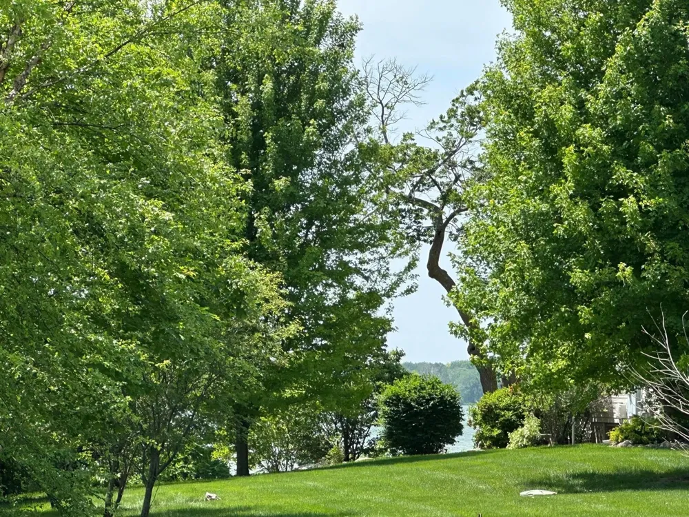 29172 Biehn Drive Madison Lake, MN 56063