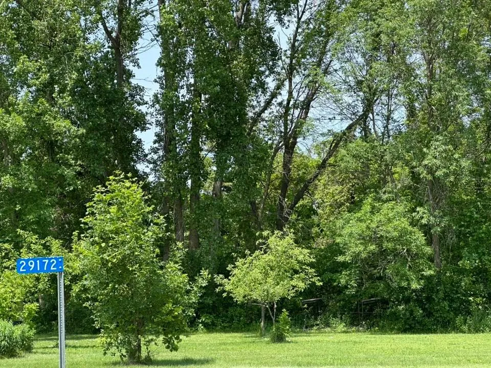 29172 Biehn Drive Madison Lake, MN 56063