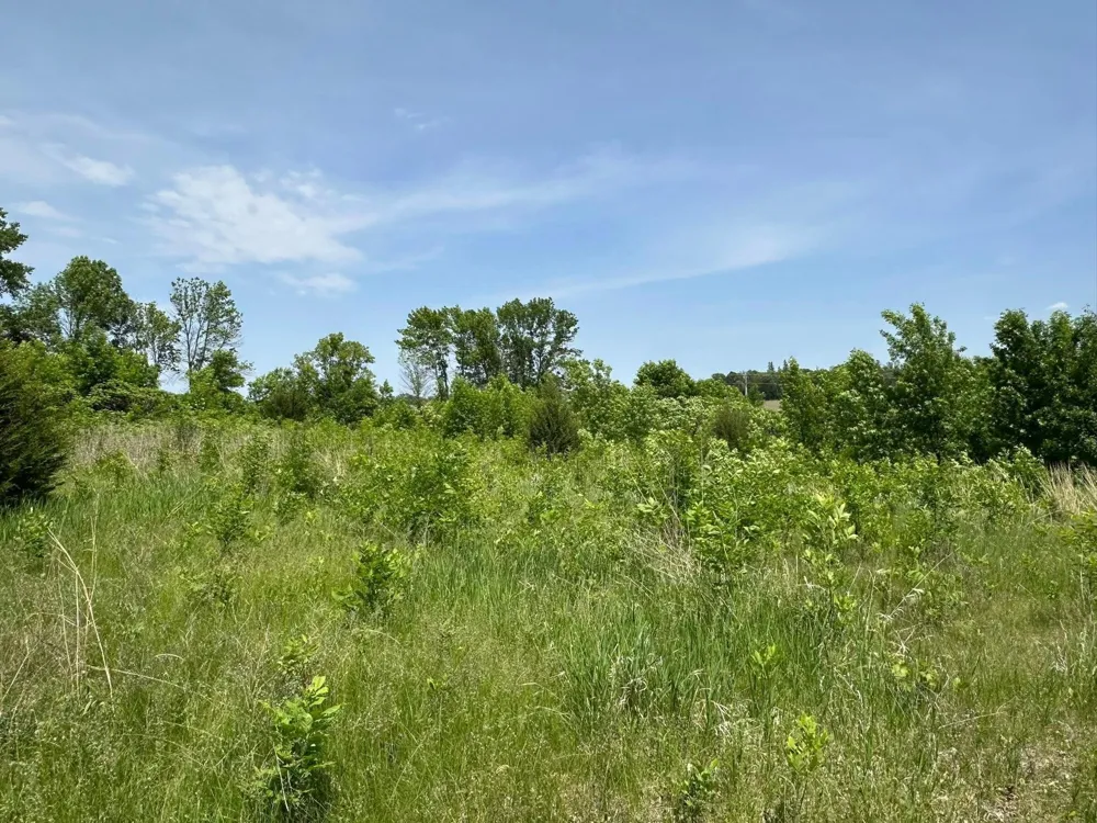 29036 Biehn Drive Madison Lake, MN 56063