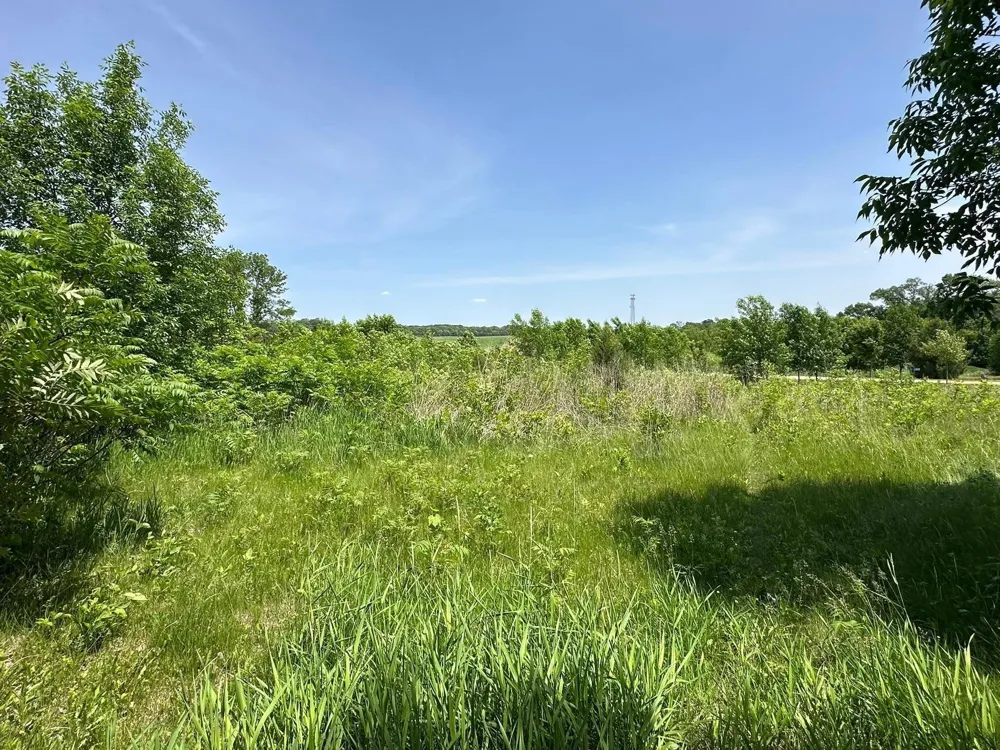 29036 Biehn Drive Madison Lake, MN 56063