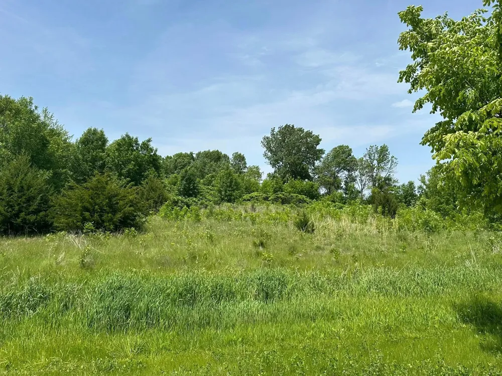 29036 Biehn Drive Madison Lake, MN 56063
