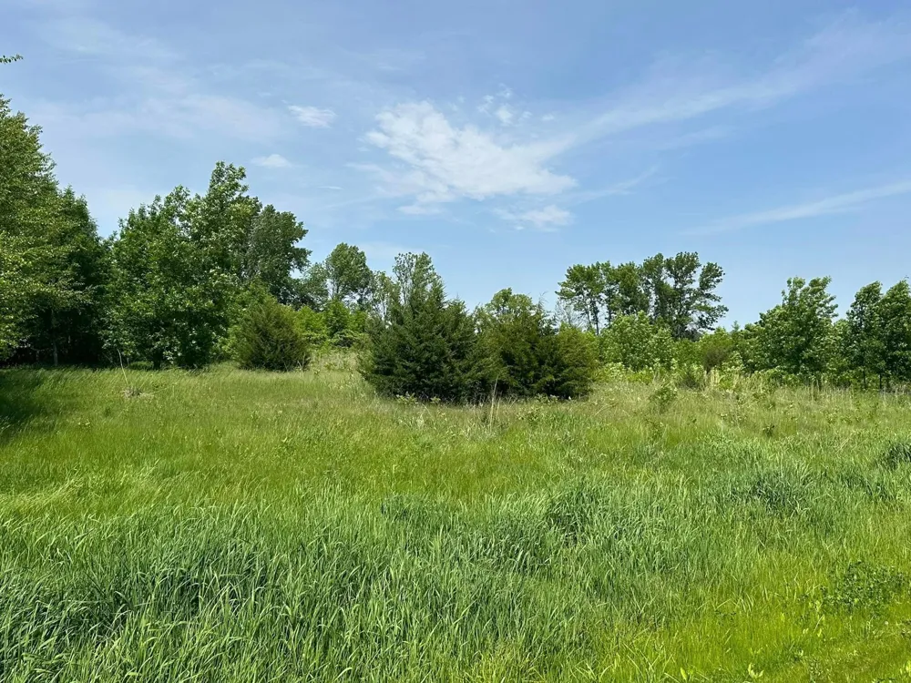 29036 Biehn Drive Madison Lake, MN 56063