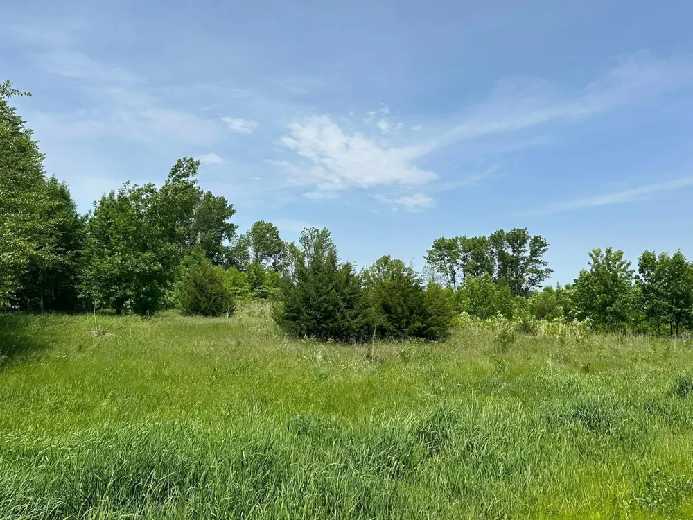 29036 Biehn Drive Madison Lake, MN 56063