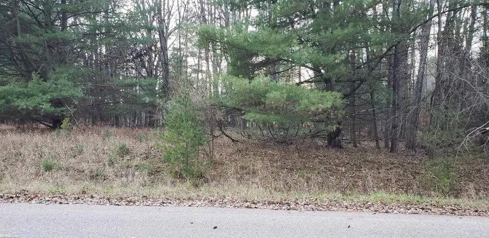 Robindale Way Gladwin City, MI 48624