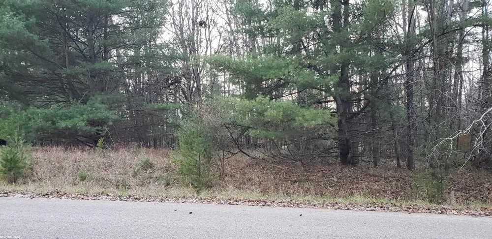 Robindale Way Gladwin City, MI 48624